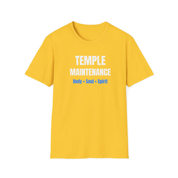 Paul Eugene Temple Maintenance Body Soul Spirit Blue